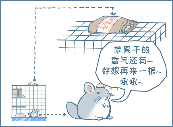 第147个小故事（上）-第207话