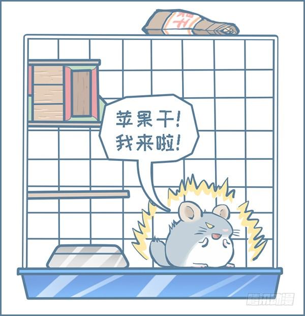 第147个小故事（上）-第207话