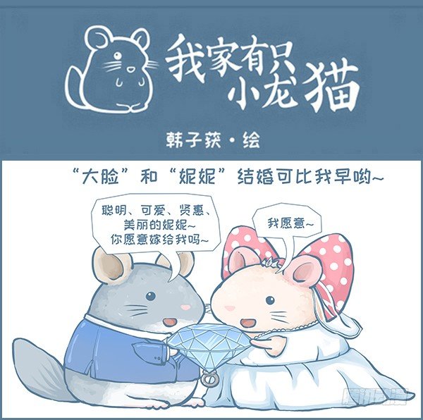 我家有隻小龍貓 - 我們結婚啦（上） - 1