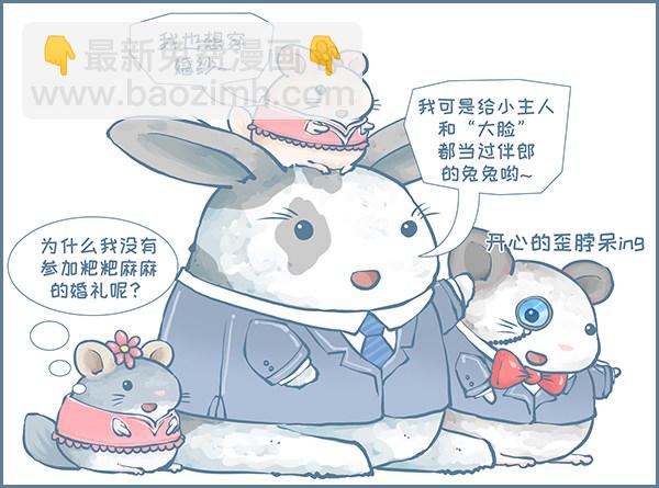 我们结婚啦（上）-第221话