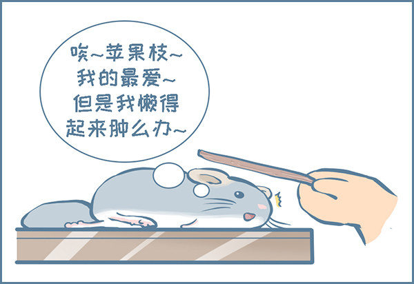 第156个小故事-第233话