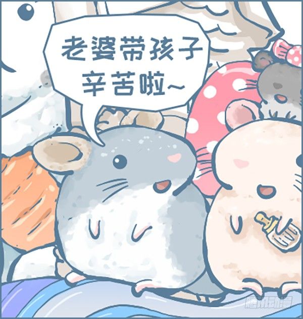 第158个小故事-第241话