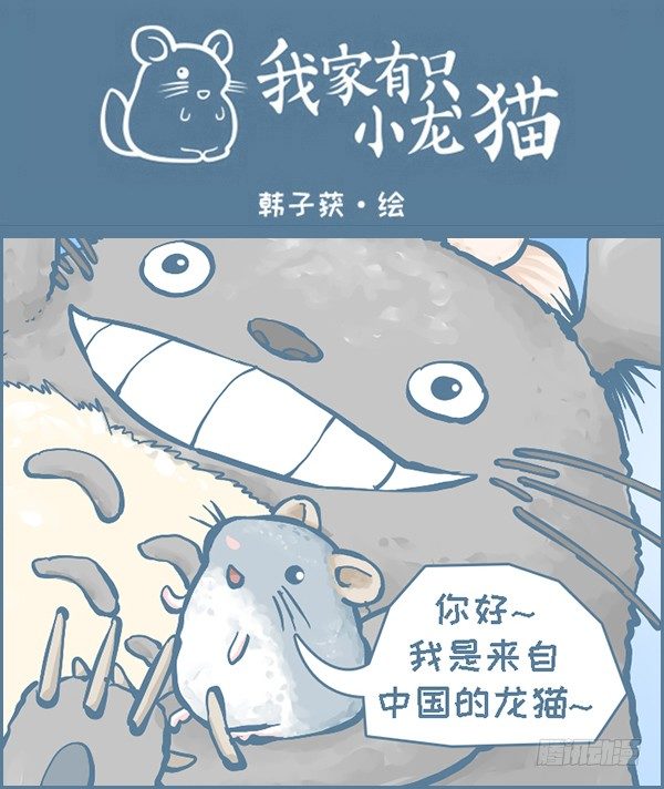 当龙猫遇见龙猫-第273话