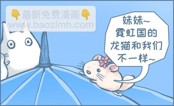 当龙猫遇见龙猫-第273话