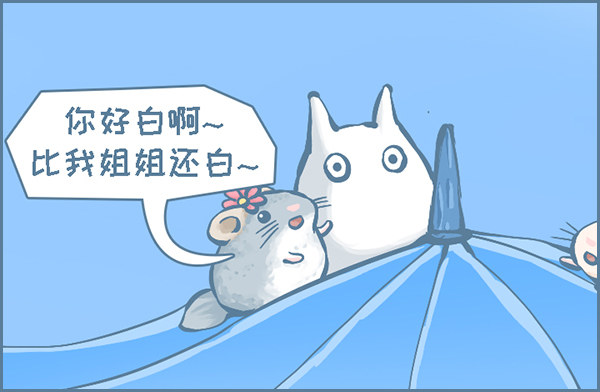 当龙猫遇见龙猫-第273话
