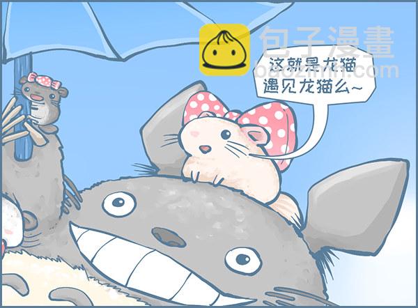 当龙猫遇见龙猫-第273话
