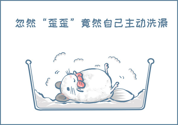 龙猫&ldquo;歪歪&rdquo;不洗澡了（4）-第283话