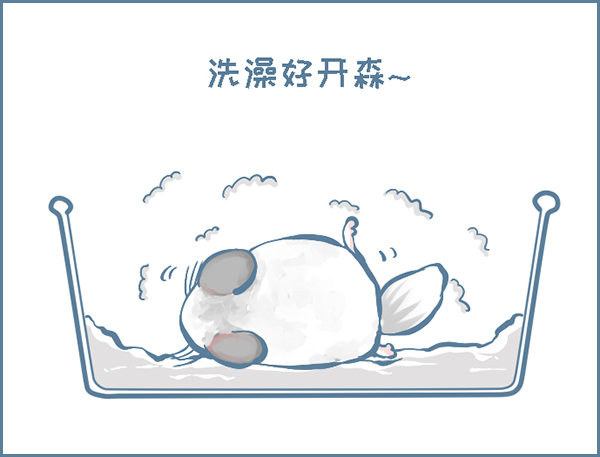 龙猫&ldquo;歪歪&rdquo;不洗澡了（4）-第283话