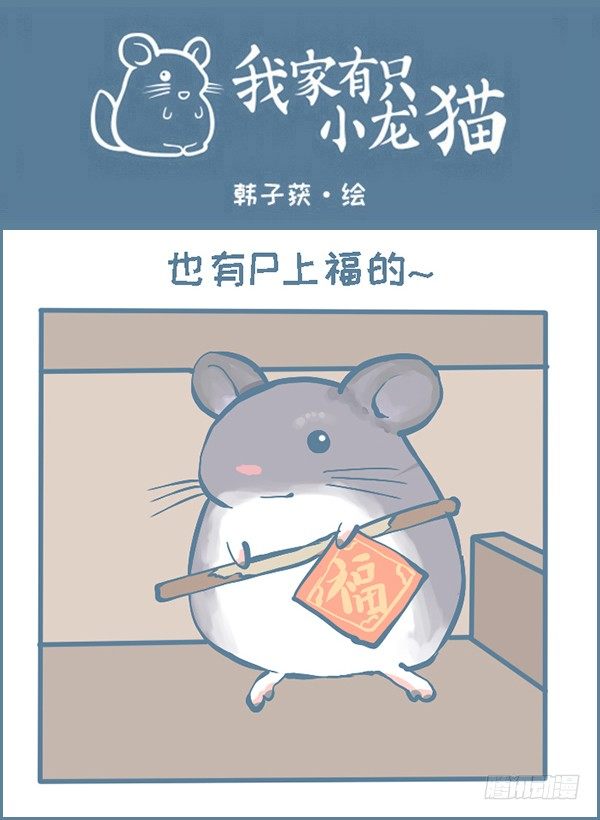 过年龙猫群的故事（下）-第295话