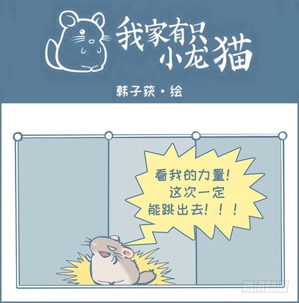 龙猫放风围栏（下）-第301话