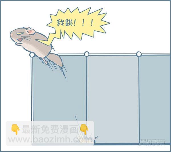 龙猫放风围栏（下）-第301话