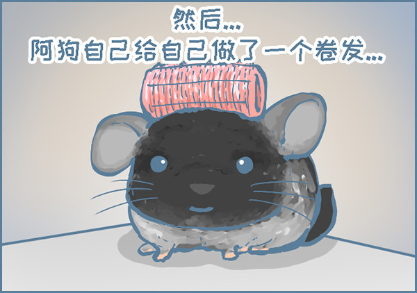 时尚的龙猫阿狗（下）-第307话