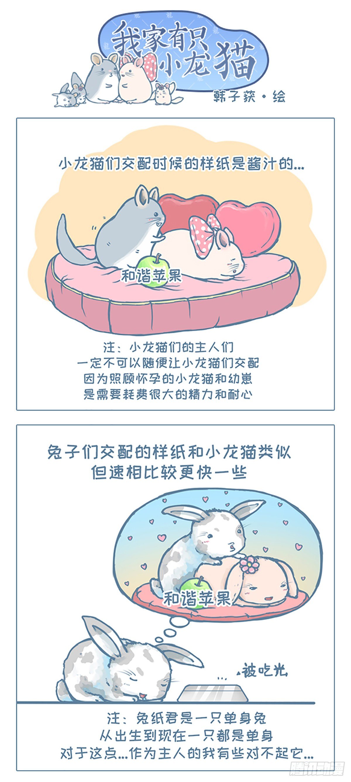 第32个小故事-第31话