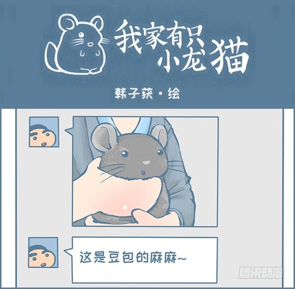 龙猫千里认亲（下）-第309话