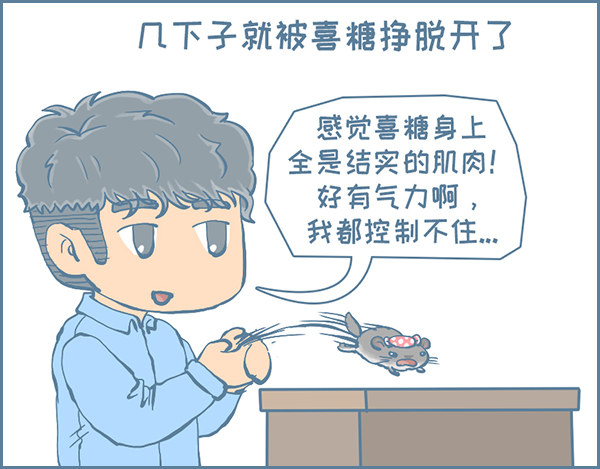 喜糖的特点（下）-第319话