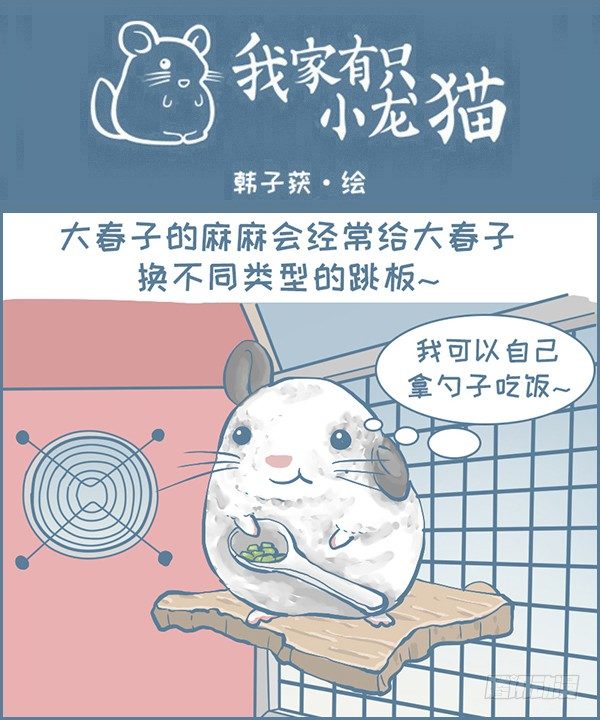 龙猫大春子的跳板-第321话