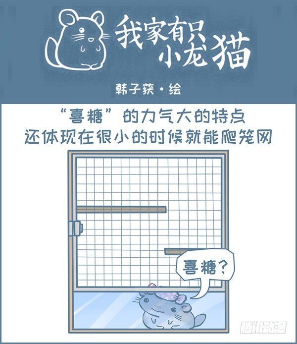 喜糖的弹跳（1）-第323话