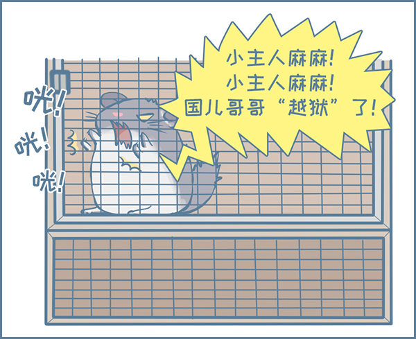龙猫国儿&ldquo;越狱&rdquo;记（3）-第329话