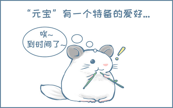 龙猫&ldquo;元宝&rdquo;的故事-1-第333话