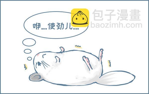 龙猫&ldquo;元宝&rdquo;的故事-1-第333话