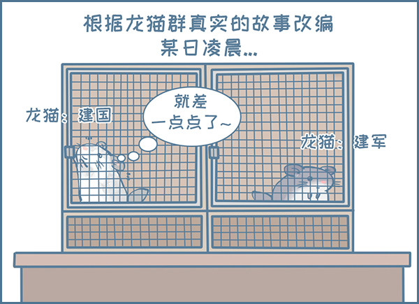 龙猫军军告状（1）-第339话