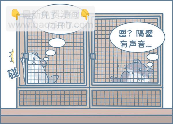龙猫军军告状（1）-第339话