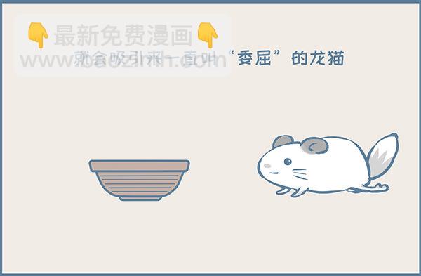 一盆龙猫多肉的诞生-第345话
