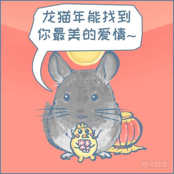 真实世界龙猫的祝福（下）-第355话