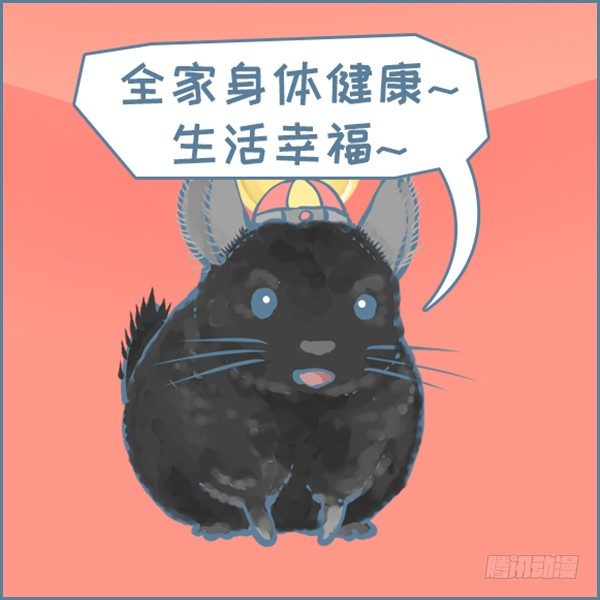 真实世界龙猫的祝福（下）-第355话