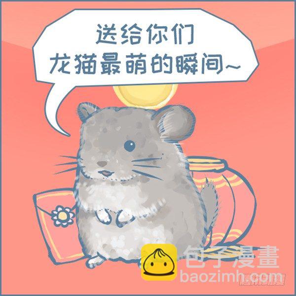 真实世界龙猫的祝福（下）-第355话