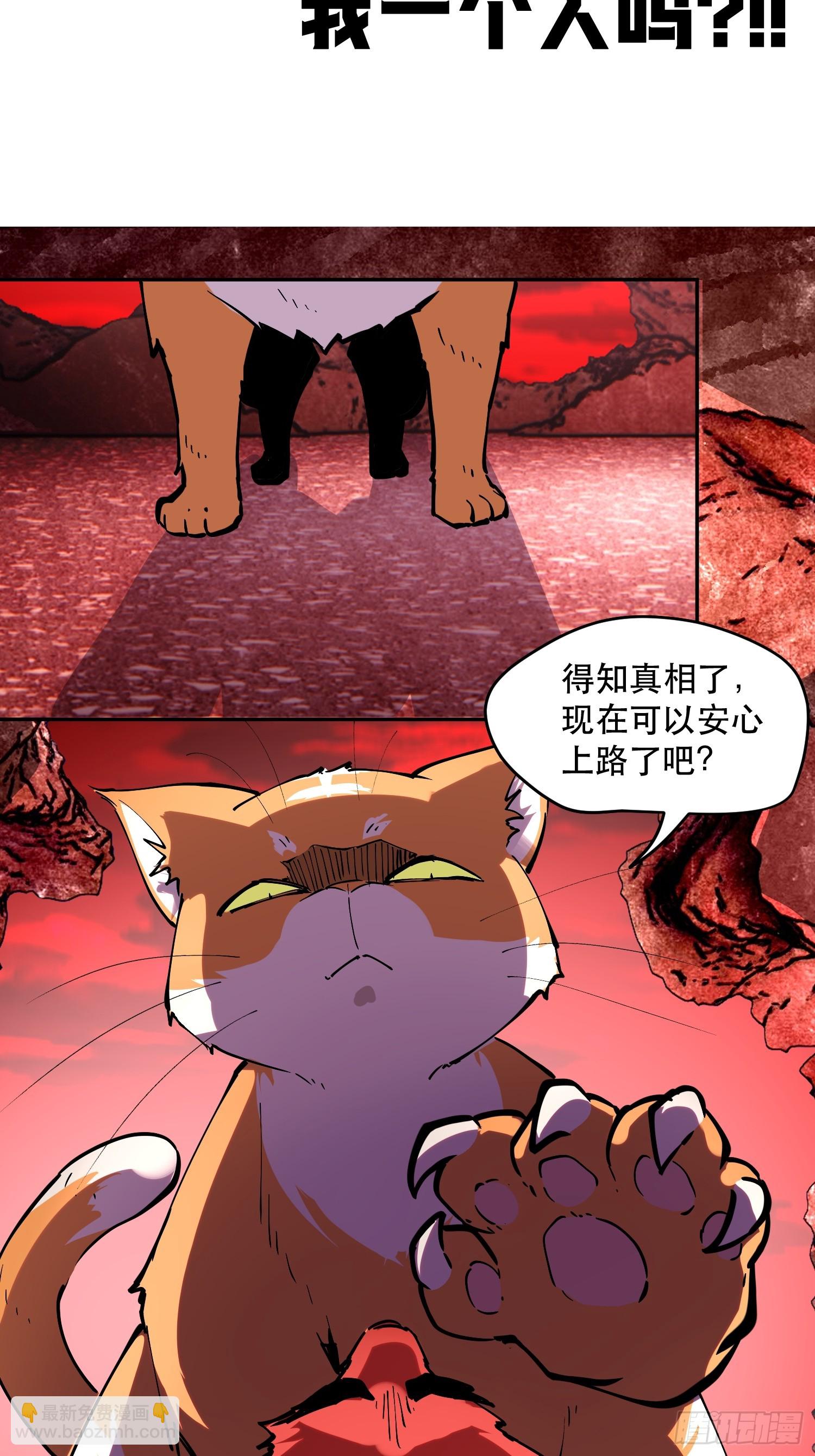 78-小丑狼狼知道真相-第79话