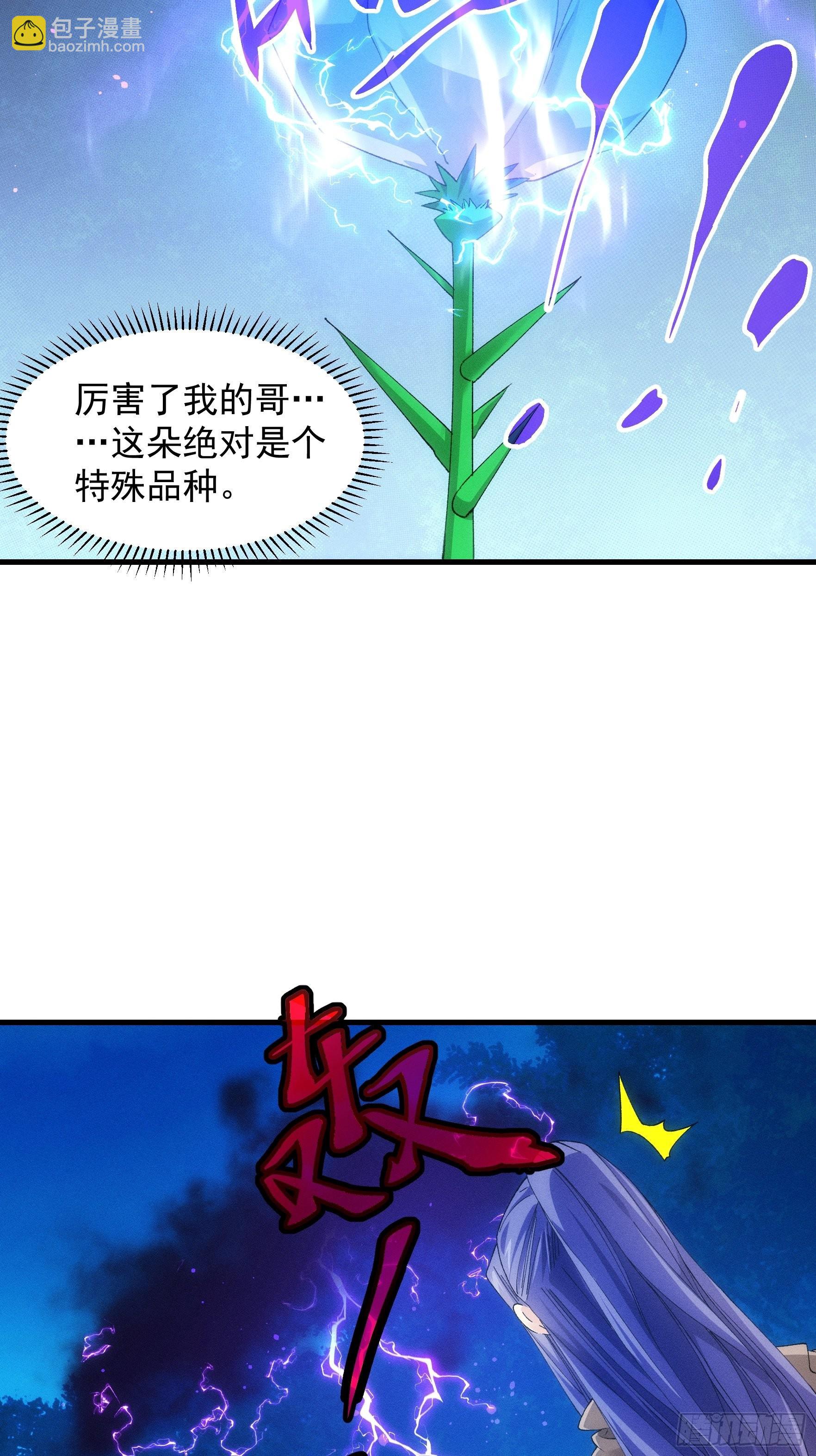 第45话 雷灵花-第47话