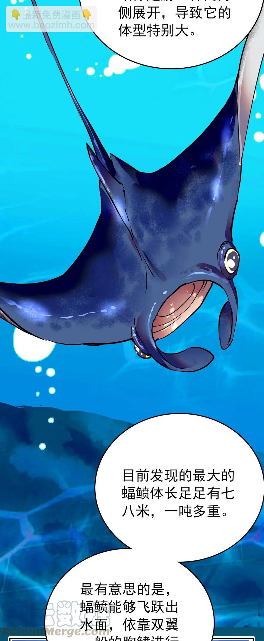 139 决定了！就是蝠鲼！-第129话