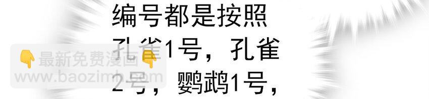 005 动物大采购(1/2)-第5话