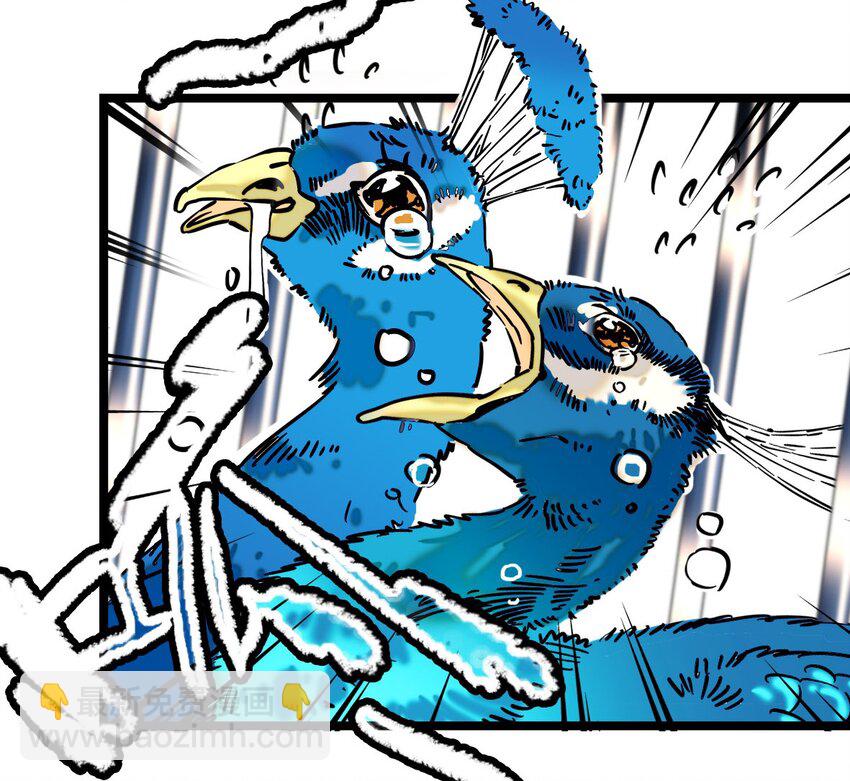 005 动物大采购(1/2)-第5话