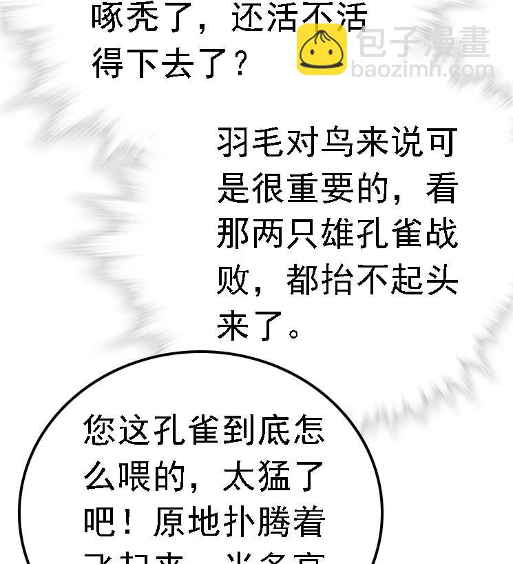 051 孔雀霸王-第51话