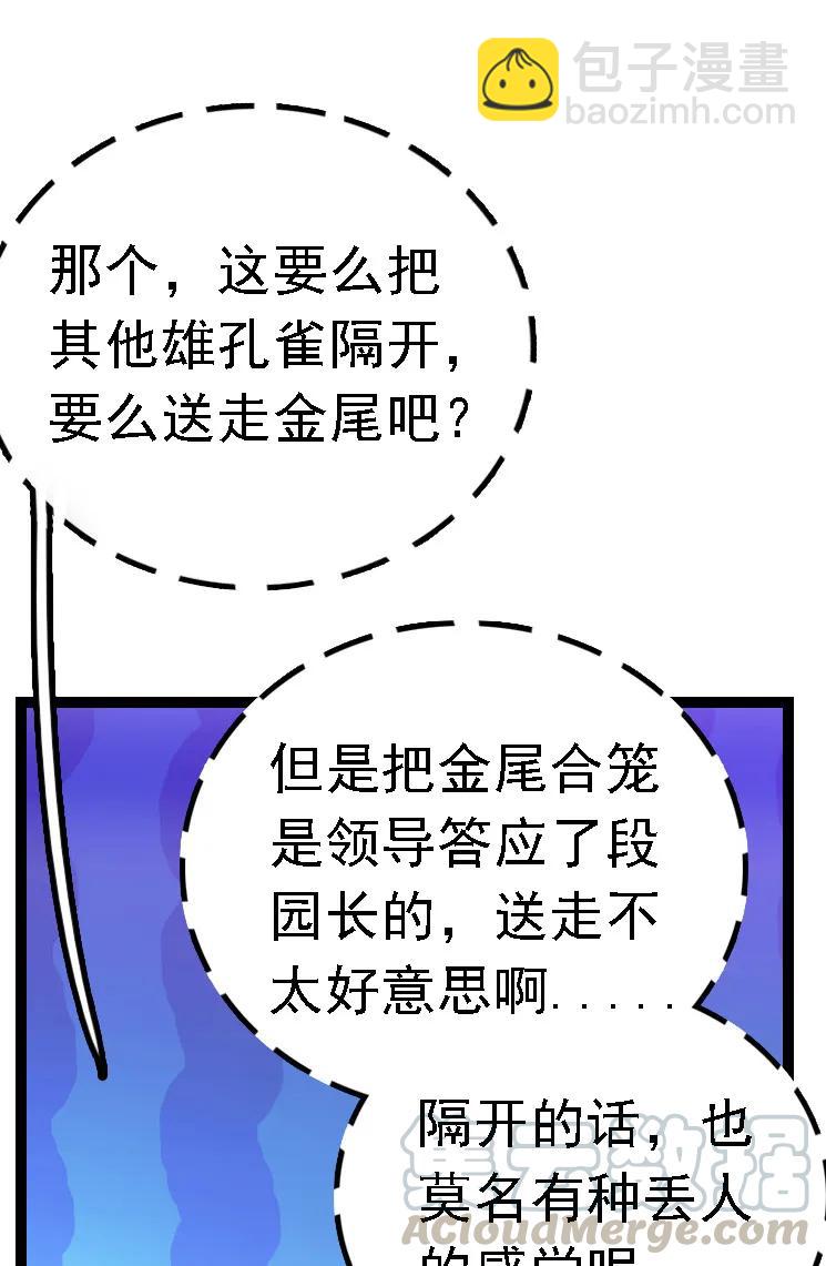 051 孔雀霸王-第51话