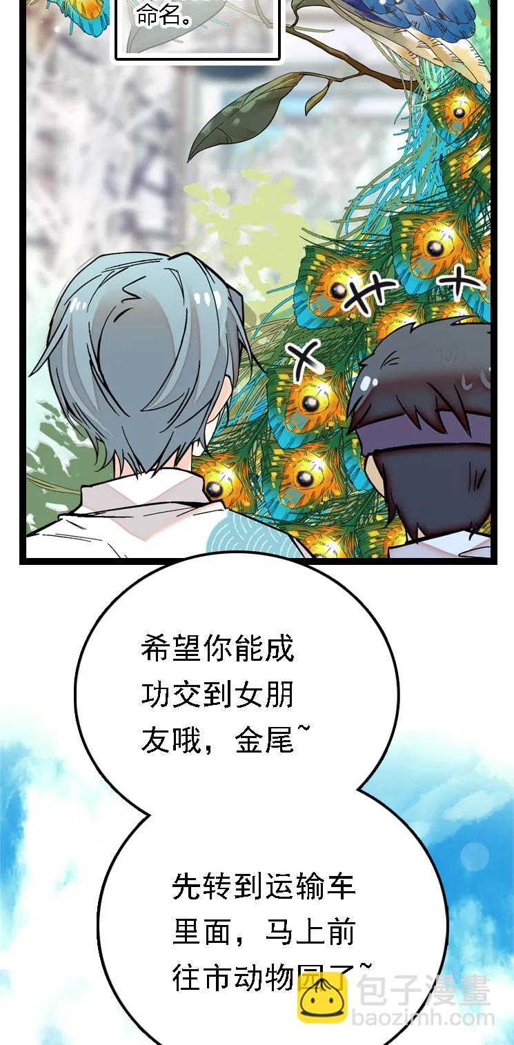 051 孔雀霸王-第51话