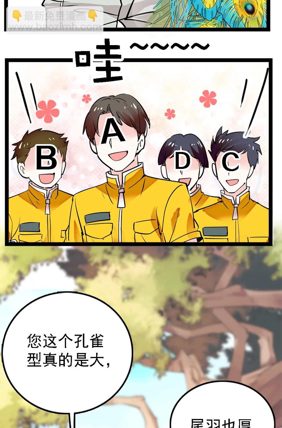 051 孔雀霸王-第51话