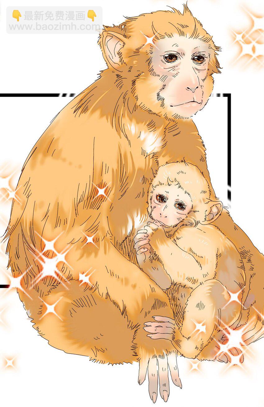 007 荣光焕发，准备内测(1/2)-第7话