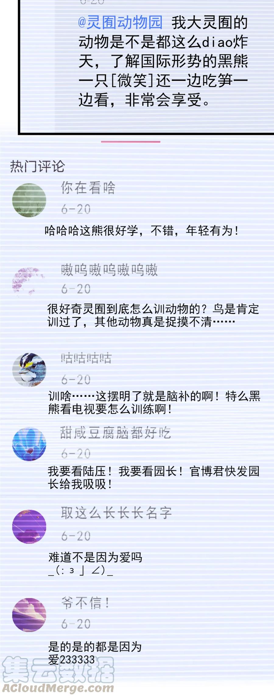 我开动物园那些年 - 088 人鸟互动 - 4