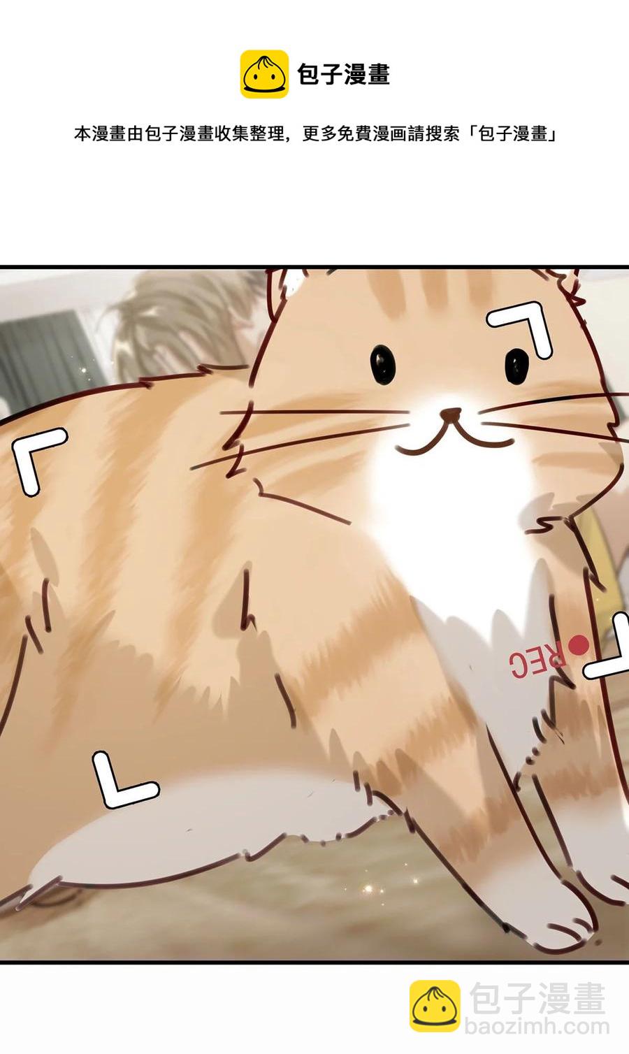 番外 一周年漫画独家专属番外(1/2)-第49话