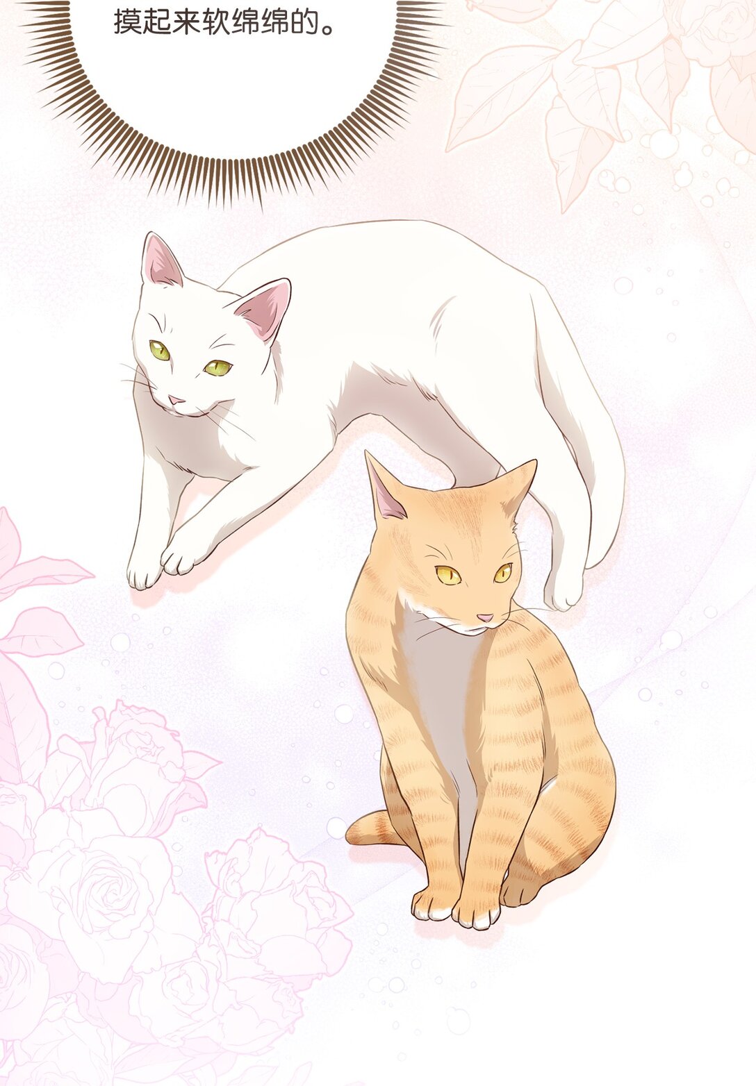 53 双份惊喜(1/2)-第53话