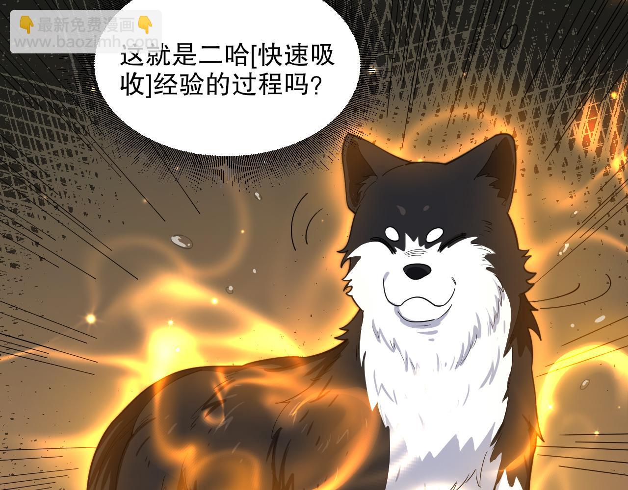 第40话 击败风雷隼(1/3)-第41话