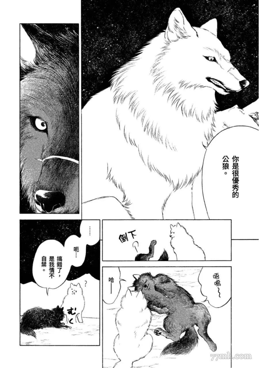 WOLF PACK 狼族 - 第1卷(1/4) - 7