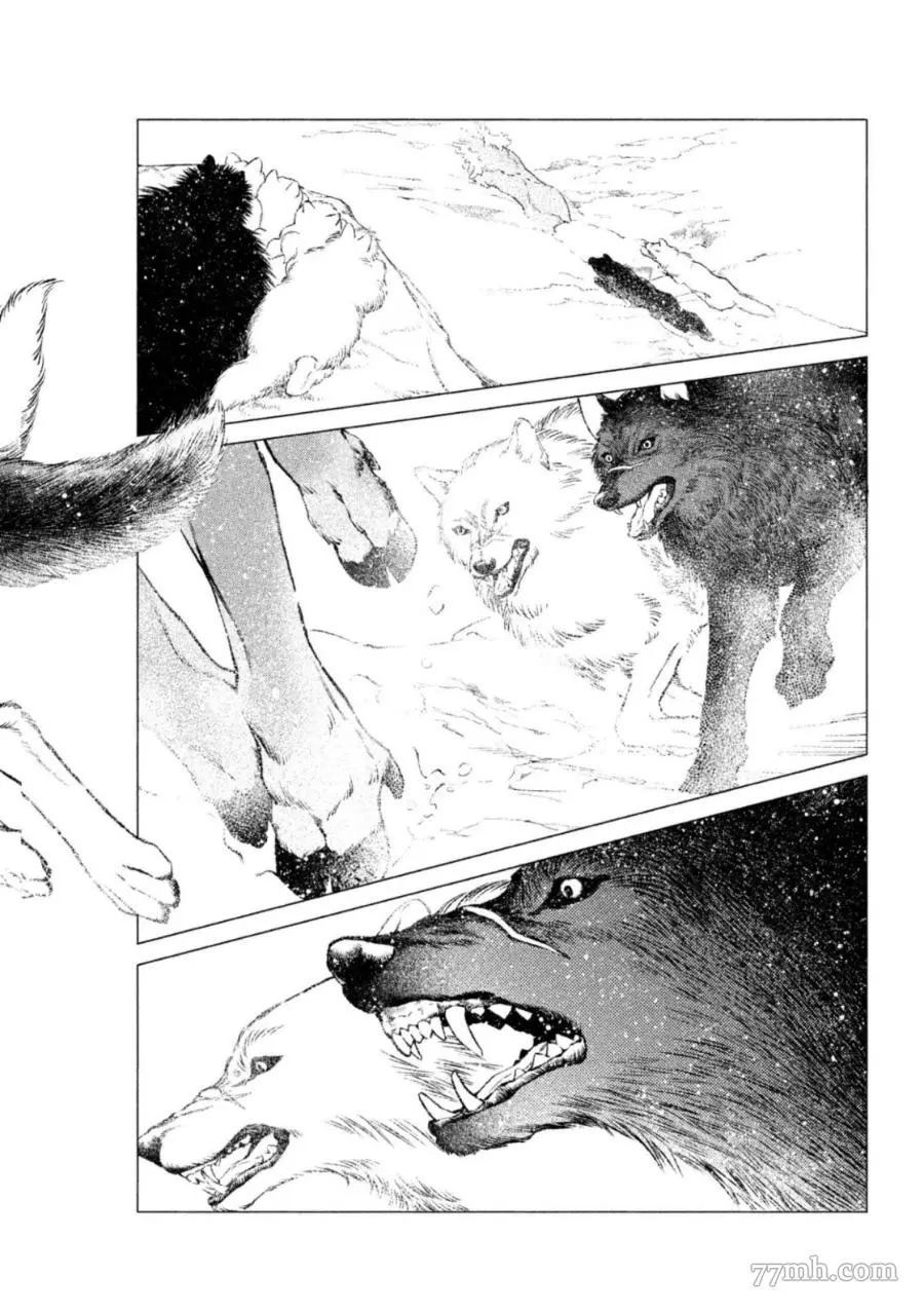 WOLF PACK 狼族 - 第1卷(1/4) - 5