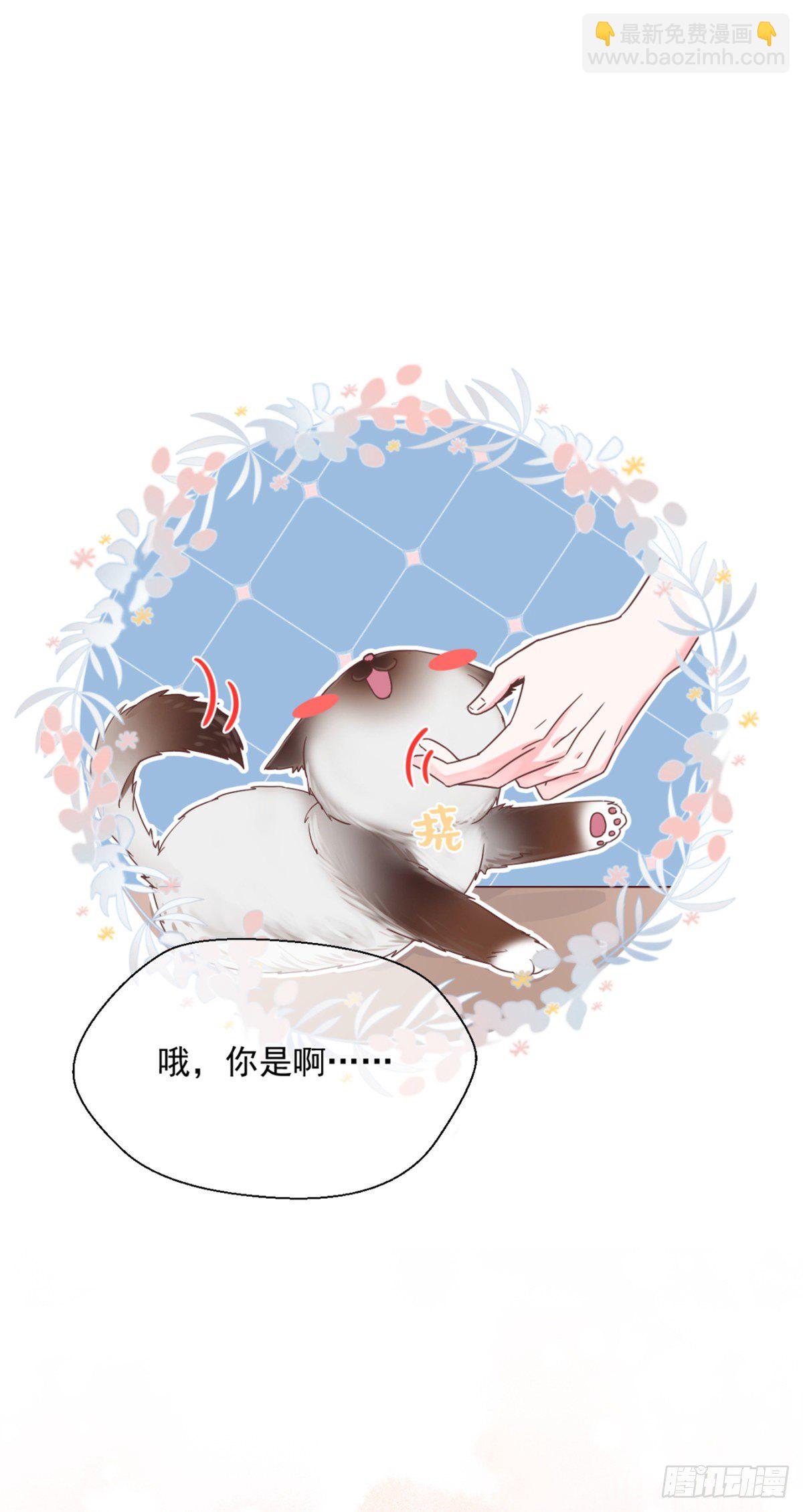 你可真像个男人-第13话