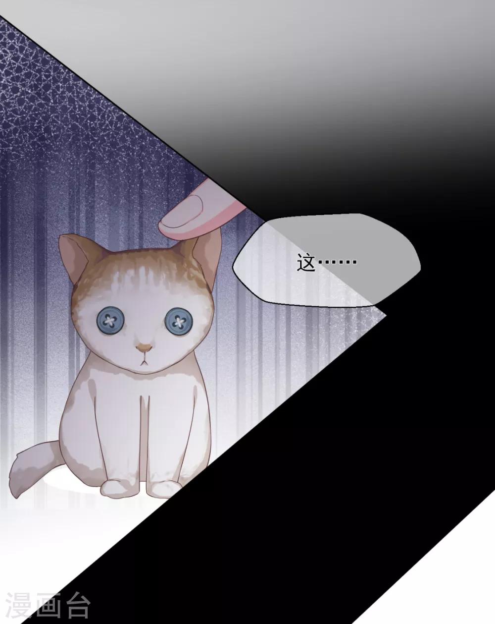 第15话 小马（加更）-第17话