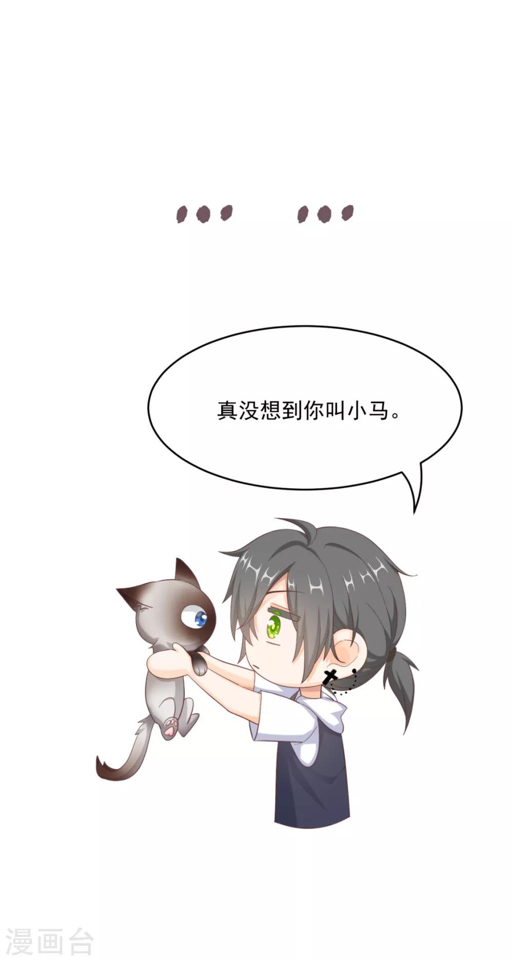 第15话 小马（加更）-第17话