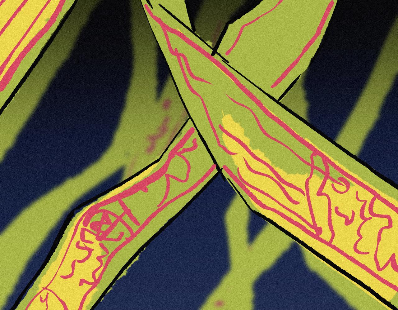 第【5^2+1】话 重逢(1/3)-第27话